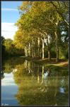 Herbst am Canal du Midi 2