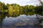 Teich im Park von Sanssouci 1