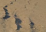 Schatten im Sand