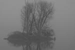 See im Nebel_2