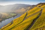 Hangviadukt und Prinzenkopf bei Alf