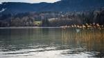 Tegernsee