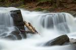 Wasserfall Alexisbad 1