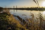 Abendstimmung am Kanal