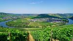 Mosel