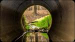 Tunnelblick in den Wald