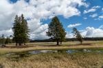 Nahe Lake Yellowstone