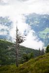 Berglandschaft