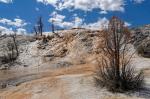 Sinterterrassen im Yellowstone-Nationalpark