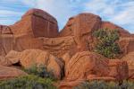 Arches Nationalpark II