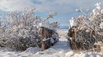 Grönland im Schnee