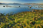 Puerto Natales, Chile