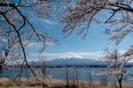 Mt.Fuji