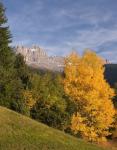 Herbstfarben (Dolomiten)