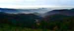 Abendstimmung im Schwarzwald