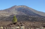 Teide Nationalpark