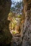 Torrent de Pareis