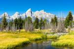 Grand Teton