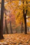 Stadtpark im Herbst