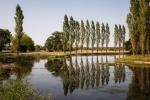 Rousseau Insel -I-