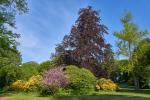 Ohrbergpark bei Hameln 9