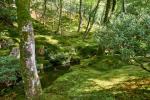 Ginkaku Ji - Bachlauf