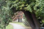 Herbst im Park