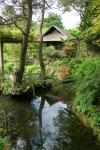 Japanischer Garten in Kildare 3