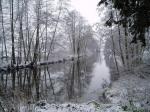 Winterlandschaft im Krumker Park, Sachsen-Anhalt