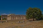 Paestum