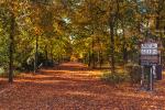 Herbst in Mitte