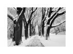 winterliche Alle