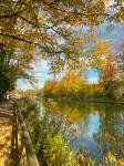 Herbst an der isar