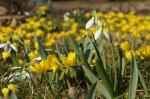 endlich Frühling