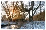 Morgenspaziergang der erste Schnee 2009