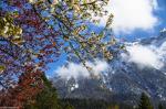 Frühling im Gebirge