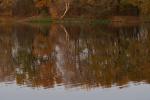 Herbstliche Spiegelung_neu