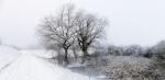 Winterspaziergang mit ingoKober