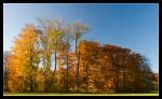 Herbst bei Sissi_2