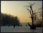 Eisspaziergang auf dem Schlachtensee