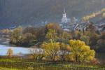 Spätherbst an der Mittelmosel