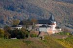 Spätherbst an der Mittelmosel