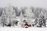 Winterlandschaft