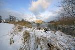 Frühling adieu, Winter herrje ;-(