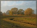 An der Havel bei Ketzin