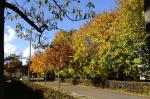 Herbststrasse