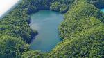 Palau aus der Luft (7) Jelly Fish Lake