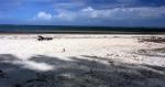 Strand in Malindi, Kenya