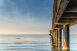 Binz Seebrücke 2