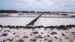 Salinas de Fuencaliente